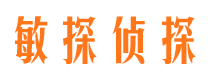 大安市侦探公司